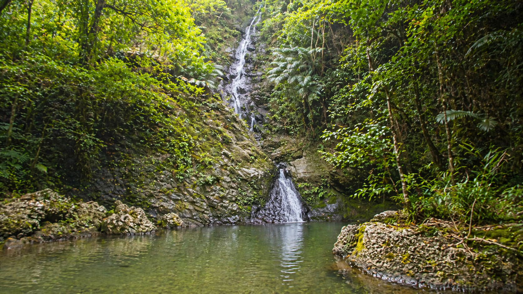 喜如嘉の七滝のパワースポットとしての魅力を深く知る 喜如嘉の七滝を囲む深い緑と静かな滝の風景